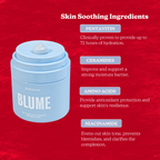 Clarifying Routine Holiday Kit