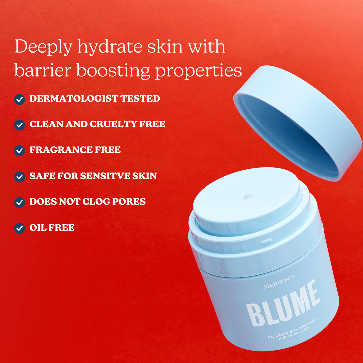 Clarifying Routine Holiday Kit