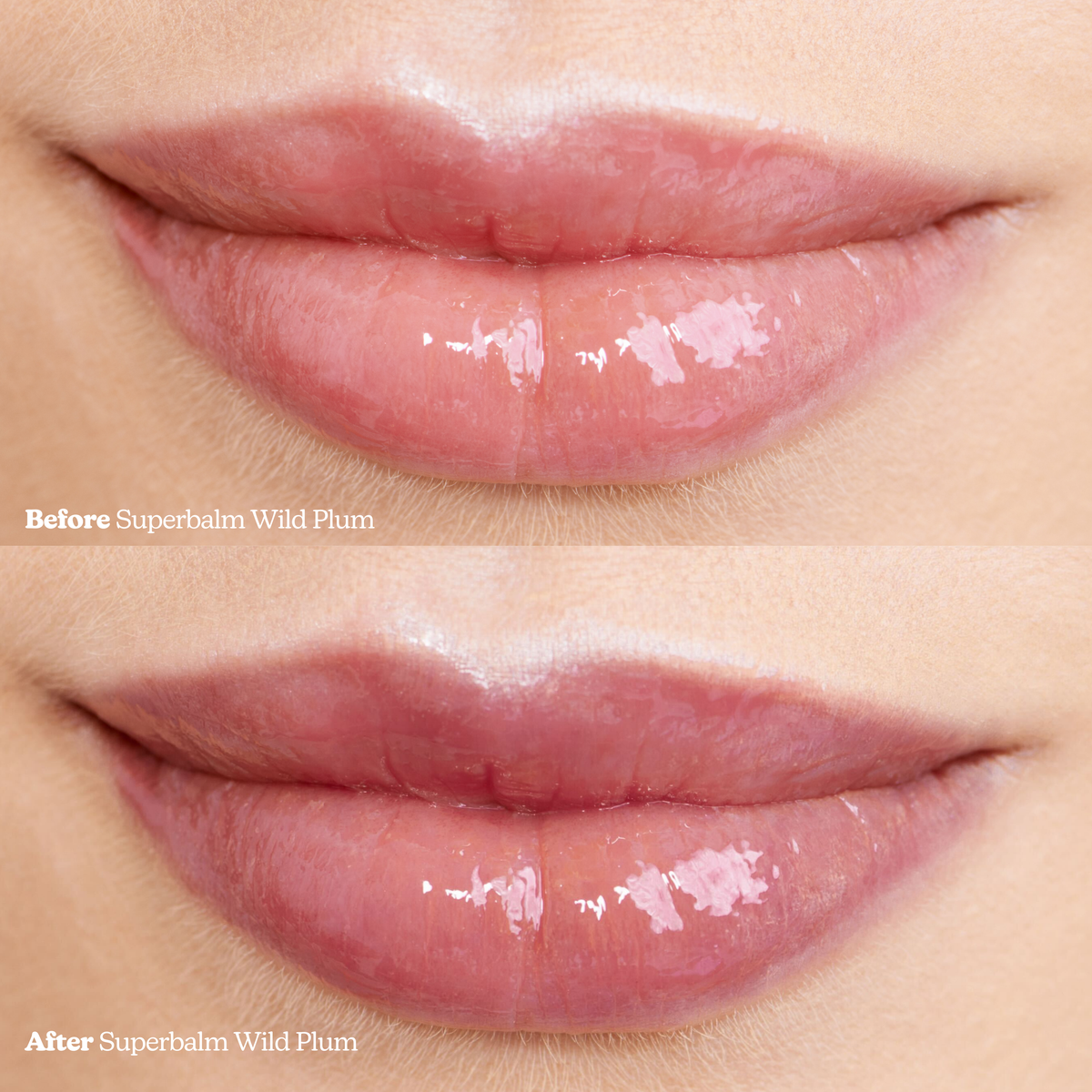 Blume Lip Balm Trio Kit